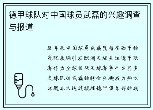 德甲球队对中国球员武磊的兴趣调查与报道